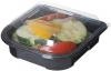 6" Premium Take Out Container