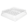 WorldView™ Renewable & Compostable Take-Out Container Lid - 7in Square, 3-Compartment
